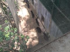 -泉州海丝野生动物世界