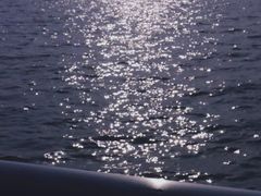 -滆湖低碳生态公园