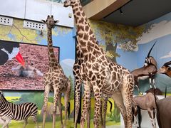 -陕西自然博物馆