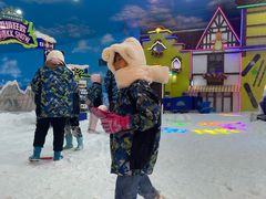 -世界之窗阿尔卑斯冰雪世界