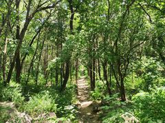 -阳台山自然风景区