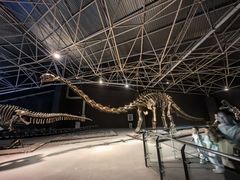 -世界恐龙谷景区