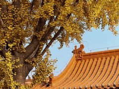 -戏马台景区