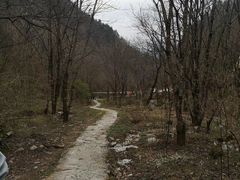 -黑河国家森林公园