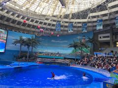 -海合安成都极地海洋公园