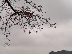 -南宁花花大世界景区