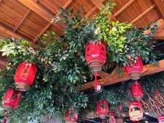 -龙泉人椰子鸡.糟粕醋.海南菜(三亚旗舰店)