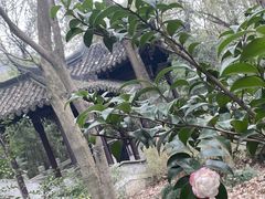 -上海佘山国家森林公园天马山园