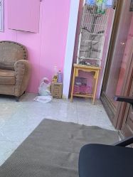 -蘑菇头国际儿童美发