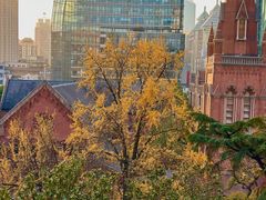 -LESCEDARS Brasserie Bistro香柏树