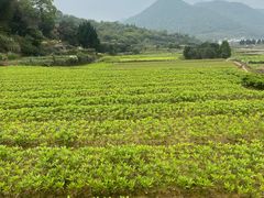 -北仑森林植物园