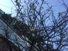 -BIFF 广场