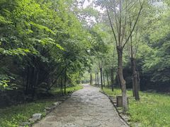 -十渡东湖港风景区