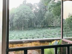 -野蔓果·山野菜(西湖景区·龙井茶田店)