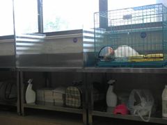 -瑞派天使宠物医院·神经外科·骨科·核磁(洛川中路店)