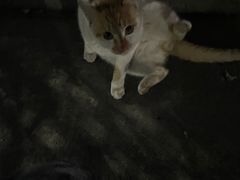 -蕃茄田艺术•美术绘画 •硬笔书法(滨江海威领界店)