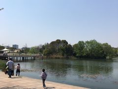 -新江湾城公园
