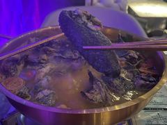 -Darling Queen·Mini·Live·House