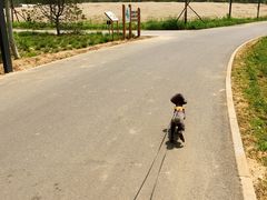 -东郊湿地公园