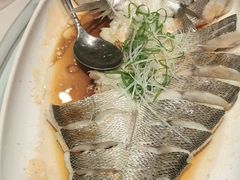 -海派美食·家宴海鲜青岛菜·石锅鲽鱼头(东方城店)