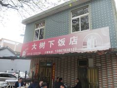 -大树下饭店(春晓镇慈岙社区卫生服务站南)