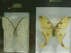 -上海昆虫博物馆