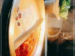 -九鼎轩脆毛肚火锅(南京东路店)