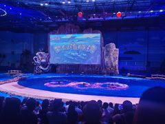 -华夏文旅海洋公园