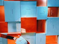 -Tiffany & Co.蒂芙尼
(天津万象城店)