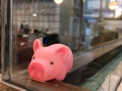 -WHEN PIGS FLY当猪飞