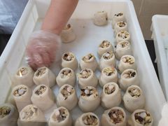 -万福兴(东中市店)