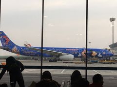 -护国寺小吃(机场店)