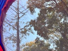 -洨河生态公园