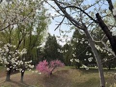 -青龙湖公园