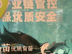 -得意咚瓜·顺德鱼生·冬瓜盅火锅