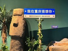 -重庆欢乐海底世界