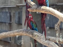 -大连森林动物园