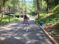 -梦幻奥陶纪景区