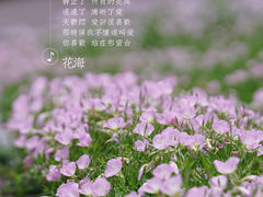 -苏州湾体育公园