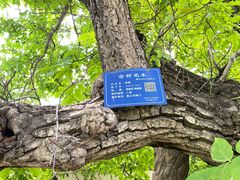 -鲁土司衙门旧址