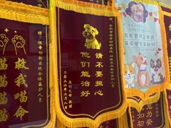 -恒幸动物医院·急重症转诊中心·神经内外科·CT核磁