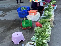 -万宁东星临时农贸市场