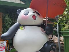 -轩客会(熊猫书店)