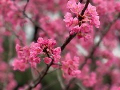 -白塘生态植物园