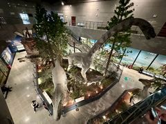 -湖南省地质博物馆