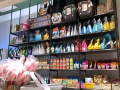 -電力宠物公司(武定路店)