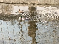 -元大都城垣遗址公园