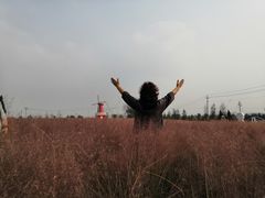 -羊亭河湿地公园