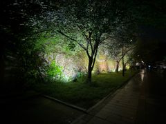 -相门城墙文化休闲景区
