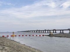 -南汇新城海滩